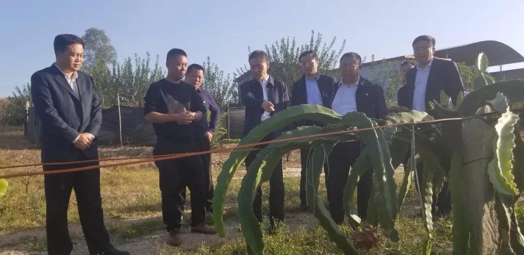 DB4BD0178510FBFE3A6E61C60EB_0AE3A92F_13B04.jpg?e= 8868官方网站 - 不凡成就非凡,相信品牌的力量